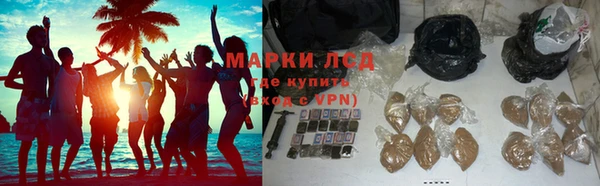 гашик Козловка