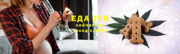 гашик Козловка
