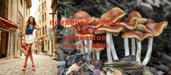 гидропоника Киреевск
