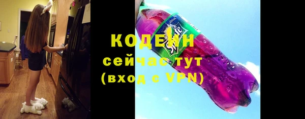 мдпв Киренск