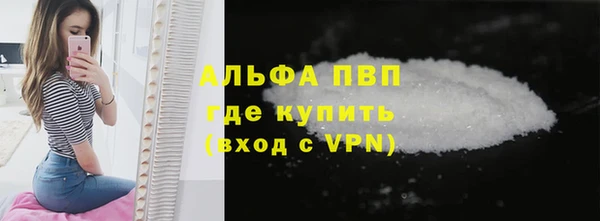 гидра Кодинск