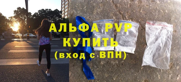 гашик Козловка