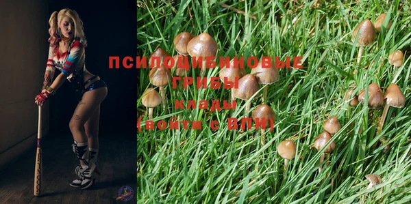 гидропоника Киреевск