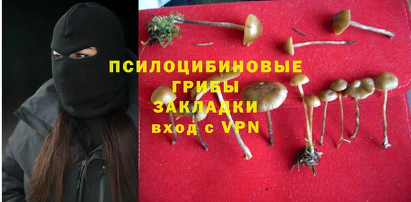 гидра Кодинск