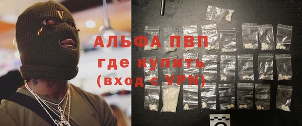 гидра Кодинск